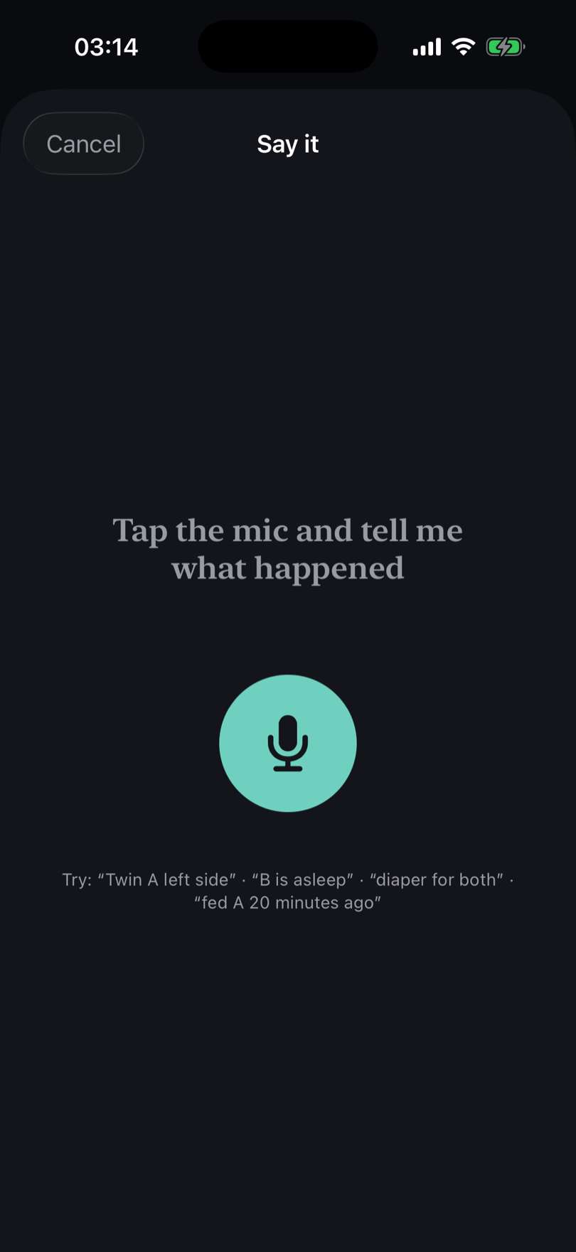 Mumble's voice logging screen listening to a spoken phrase